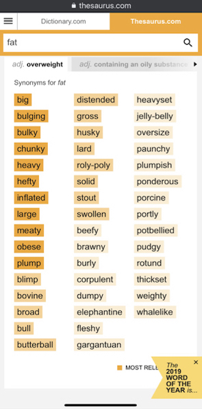 Synonyms for the word fat