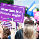 Abortion is a human right purple sign at a protest