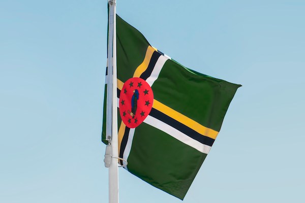 The Dominica flag flies high in a cloudless blue sky. The flag is a deep green with a red circle in the center. The circle features a purple Sisserou Parrot facing the hoist-side encircled by ten green five-pointed stars. Three stripes (yellow, black, and white) travel up and down the flag and the same three stripes travel left to right on the flag, intersecting behind the red circle in the center of the flag.