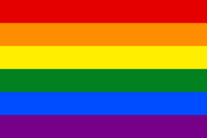 A Brief History and Explanation of 10 Pride Flags